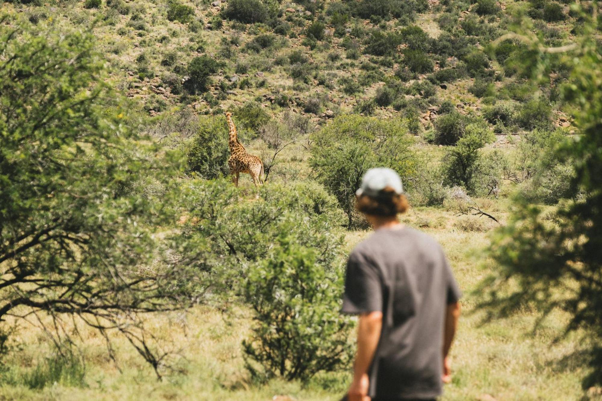 Buccara Wildlife Reserve Graaff-Reinet 외부 사진