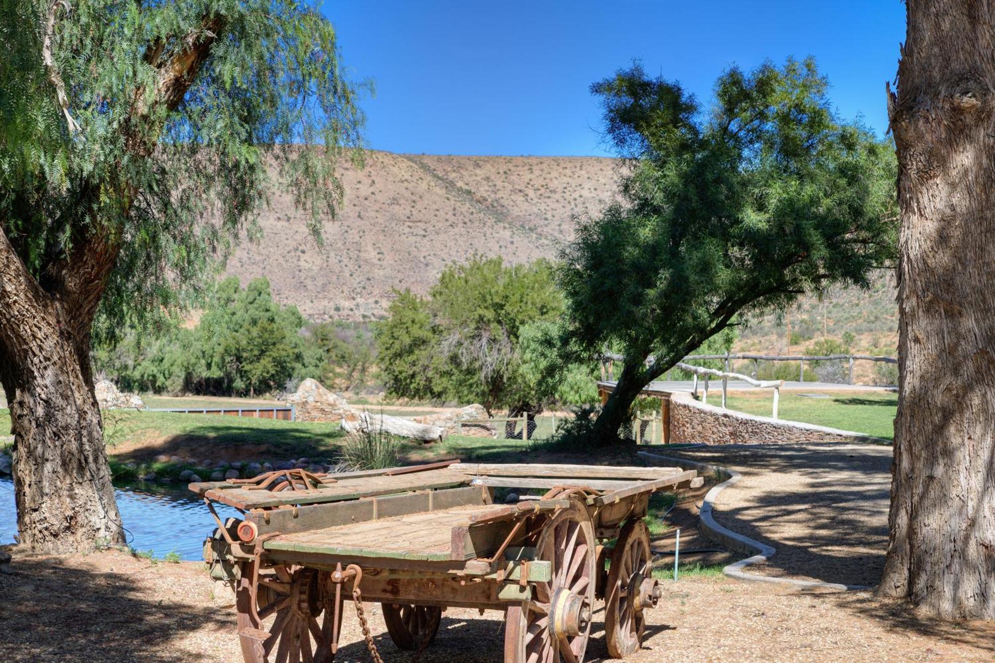 Buccara Wildlife Reserve Graaff-Reinet 외부 사진